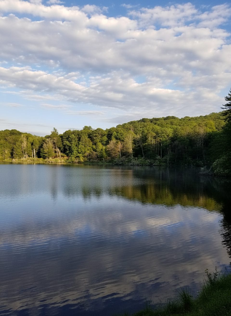 Trout Lake, Blue Ridge Parkway