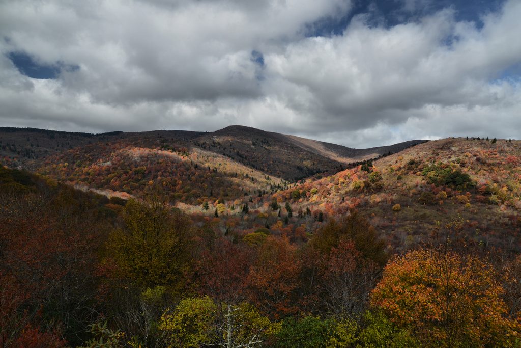Graveyard Fields, Blue Ridge Parkway