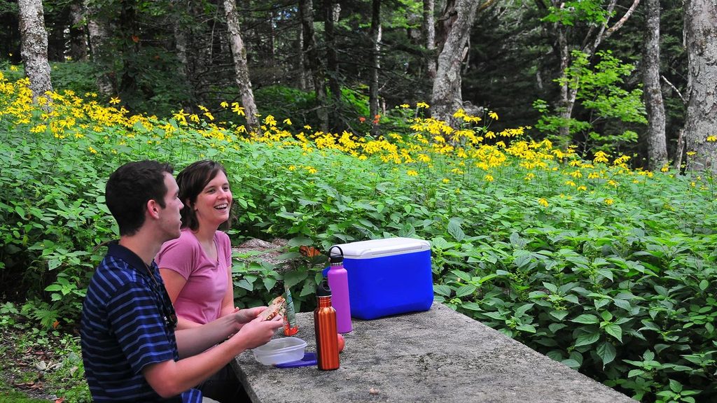 Craggy Gardens Picnic Area, Blue Ridge Parkway