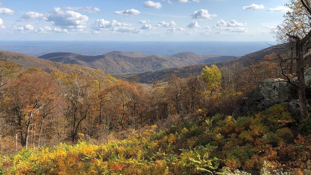 Onion Mountain Overlook, Blue Ridge Parkway