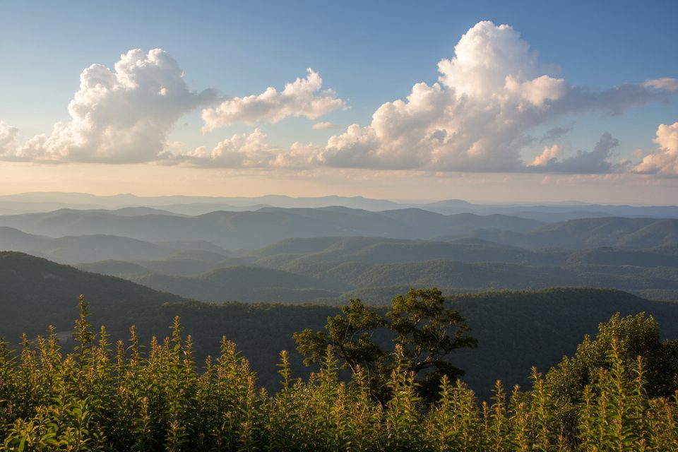 Yadkin Valley Overlook, Blue Ridge Parkway
