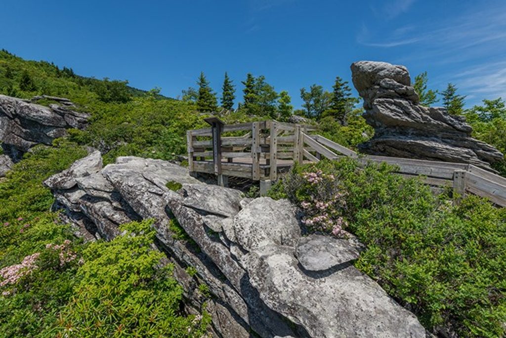 Rough Ridge Overlook, Blue Ridge Parkway