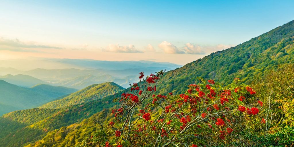 Craggy Gardens Visitor’s Center;Craggy Gardens, Blue Ridge Parkway