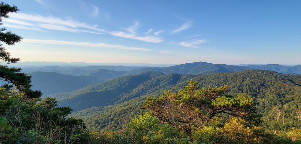 Alligator Back Overlook, Blue Ridge Parkway