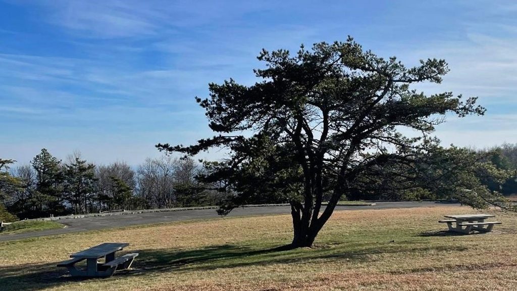 Bluffs Picnic Area, Blue Ridge Parkway