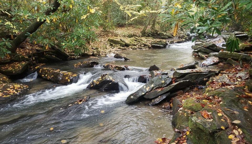 Camp Creek Overlook (MP 315.6), Blue Ridge Parkway