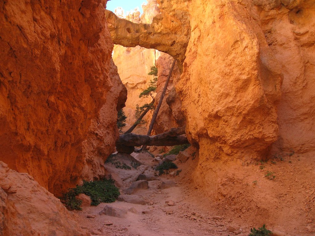 Two Bridges, Bryce Canyon National Park