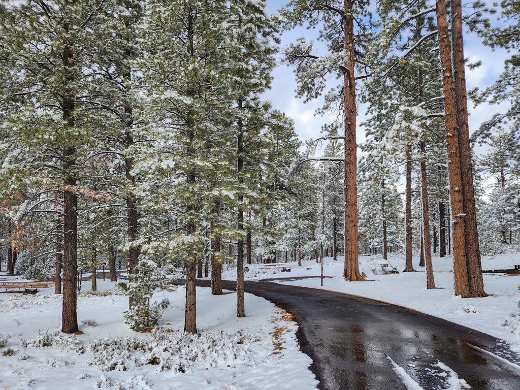 Sunset Campground, Bryce Canyon National Park