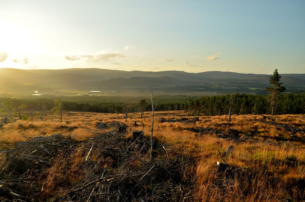 Creag Dhubh, Cairngorms National Park