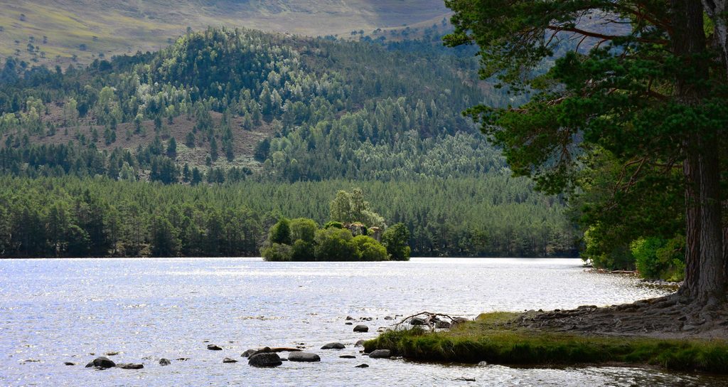 Rothiemurchus, Cairngorms National Park