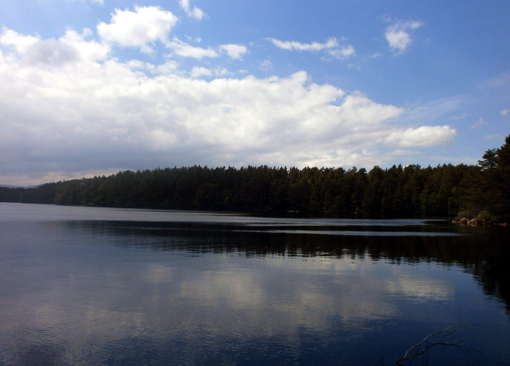 Loch Garten, Cairngorms National Park