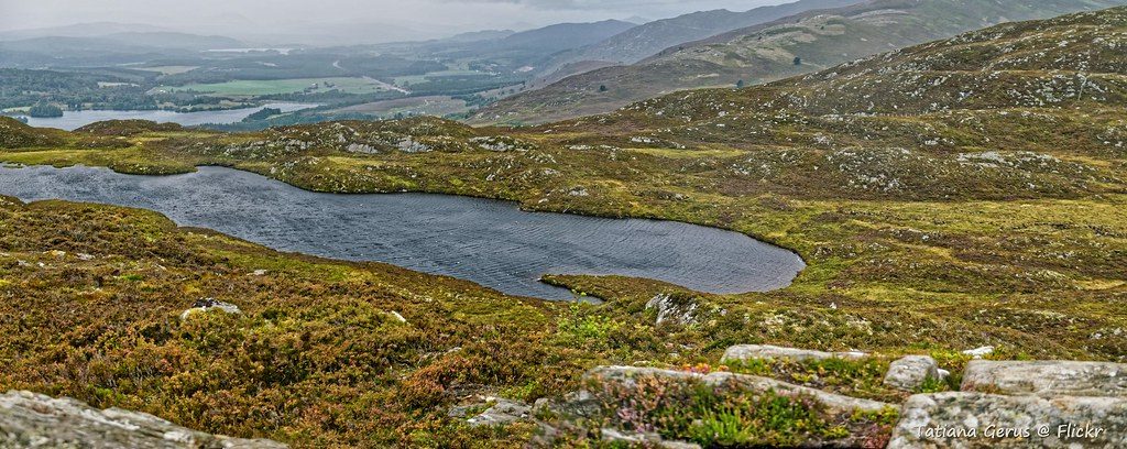 Craigellachie National Nature Reserve, Cairngorms National Park