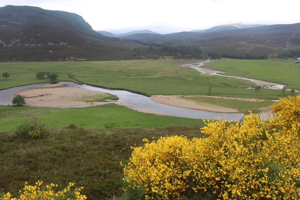River Dee View, Braemar, Cairngorms National Park