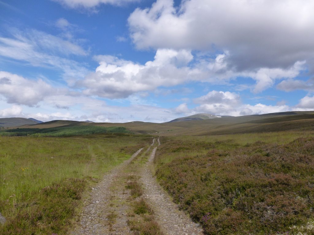 Glen Quoich, Cairngorms National Park