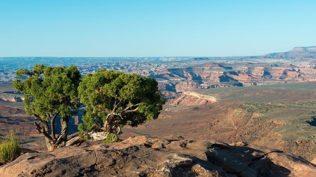 Murphy Point Overlook, Canyonlands National Park