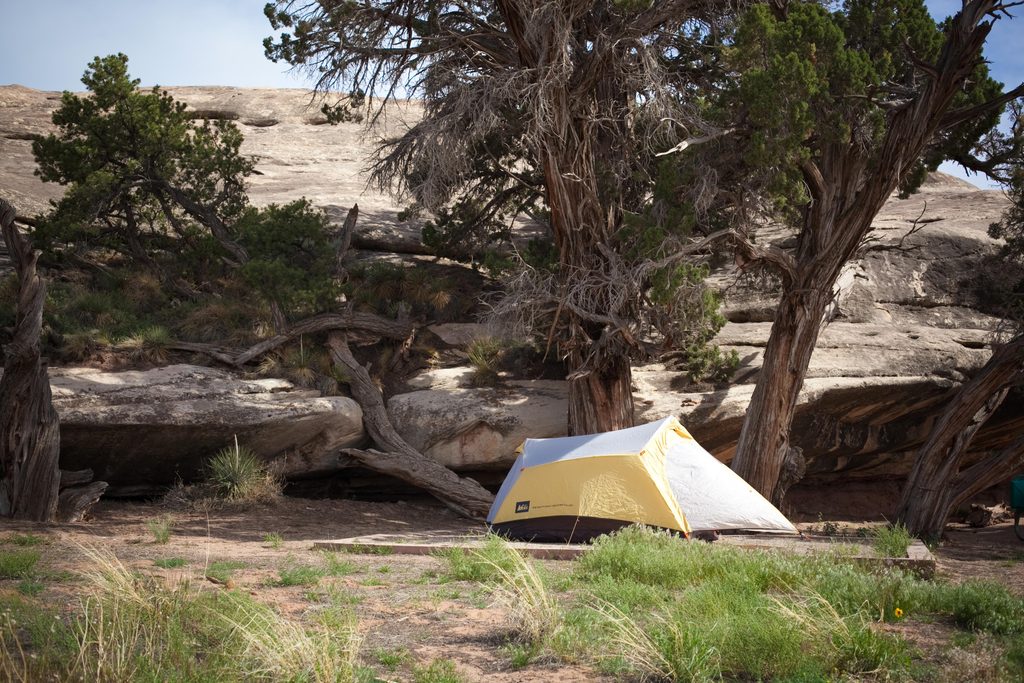 The Needles Campground, Canyonlands National Park