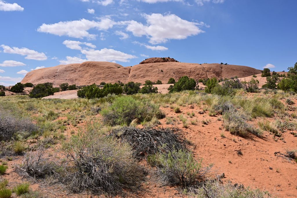 Whale Rock, Canyonlands National Park