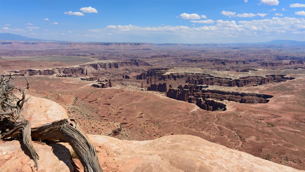 Grand View Point Overlook, Canyonlands National Park
