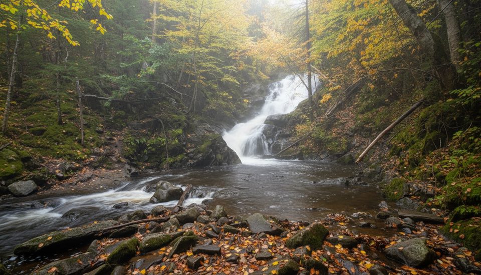 MacIntosh Brook Falls, Cape Breton Highlands National Park