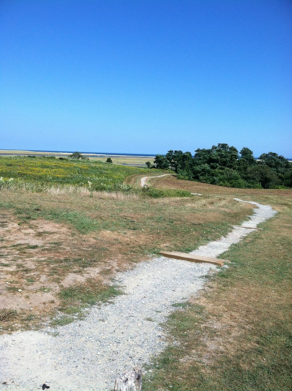 Skiff Hill Overlook, Cape Cod National Seashore