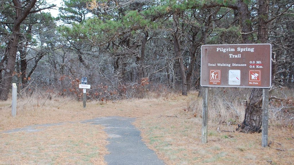 Pilgrim Spring, Cape Cod National Seashore
