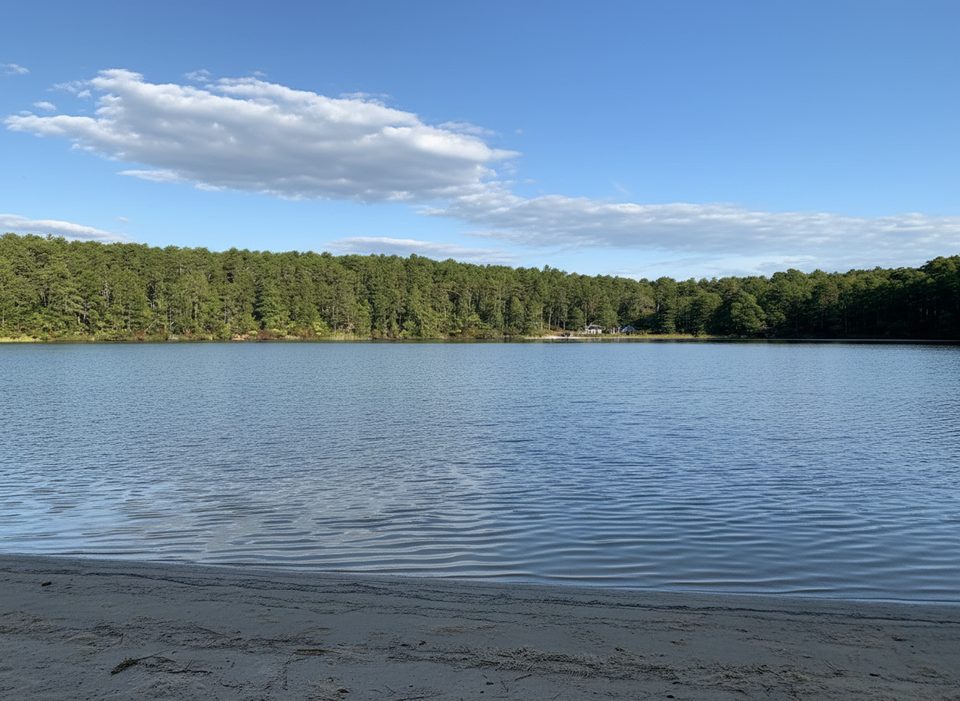 Duck Pond, Cape Cod National Seashore
