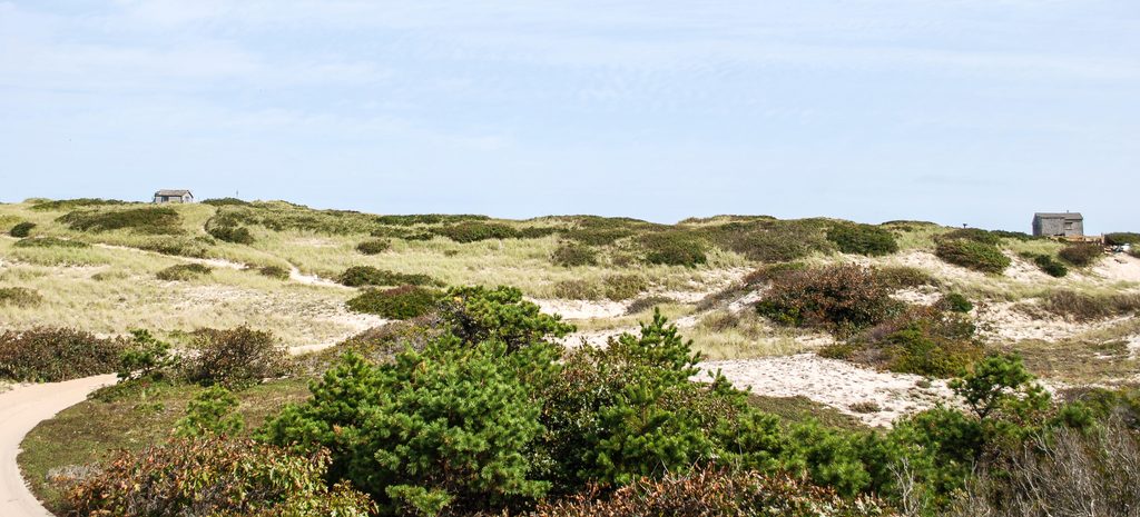 Dunes of Provincetown, Cape Cod National Seashore