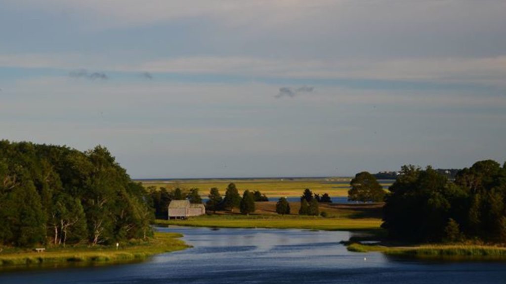 Salt Pond, Cape Cod National Seashore