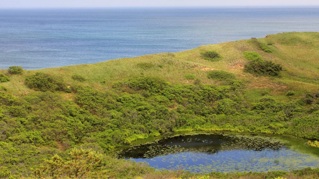 Bearberry Hill, Cape Cod National Seashore