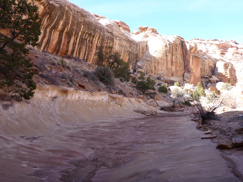 Lower Muley Twist Canyon, Capitol Reef National Park