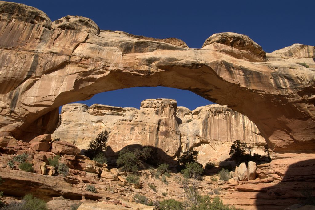 Hickman Bridge, Capitol Reef National Park
