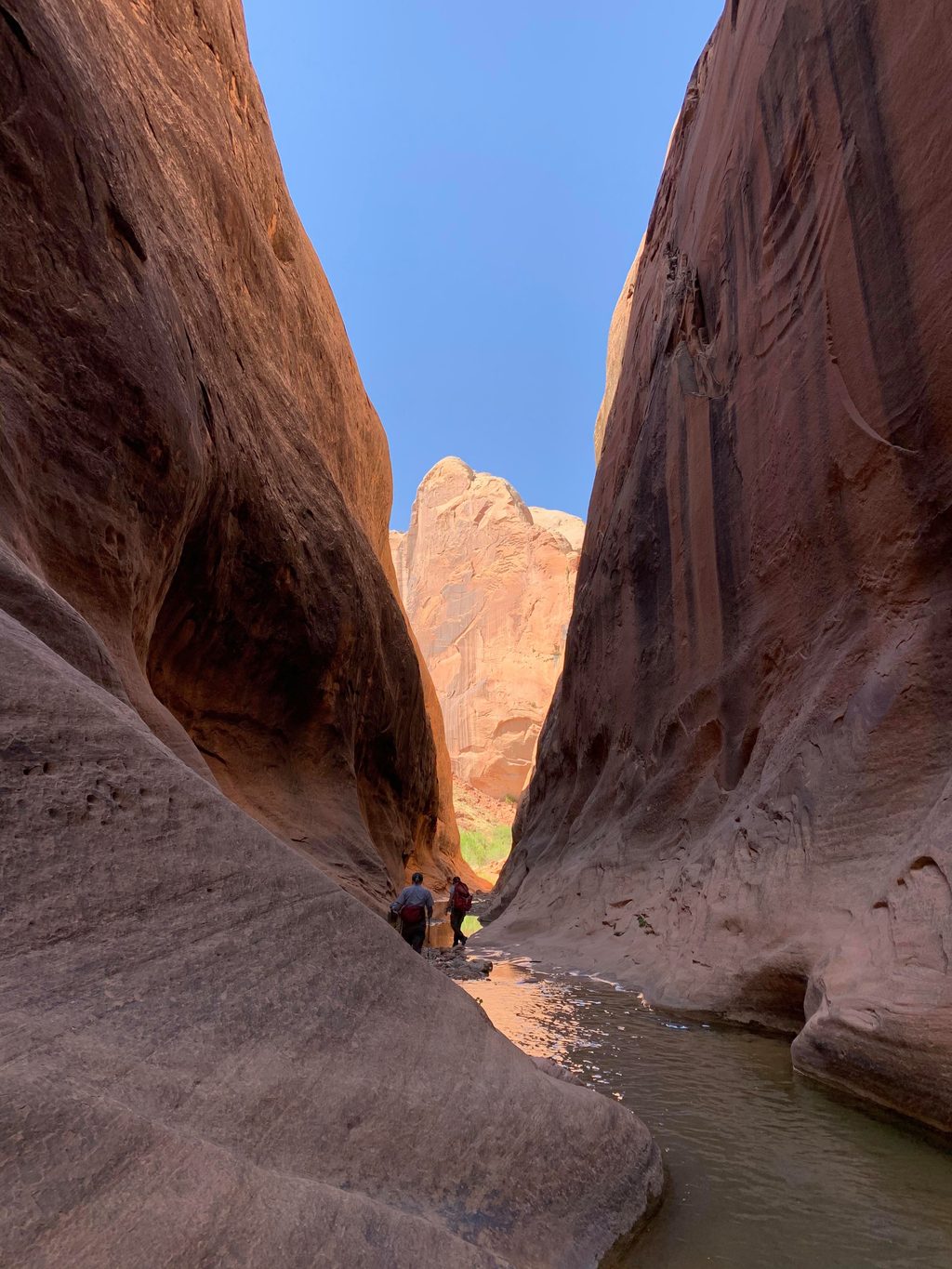 Halls Creek Narrows, Capitol Reef National Park