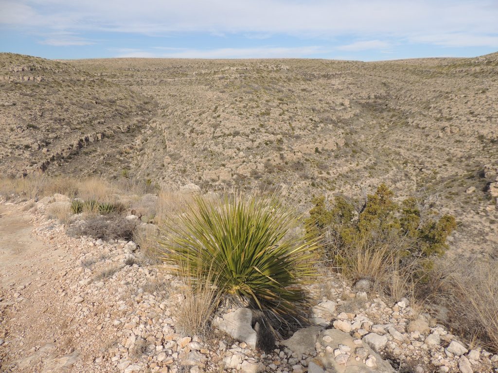 Rattlesnake Canyon Overlook, Carlsbad Caverns National Park