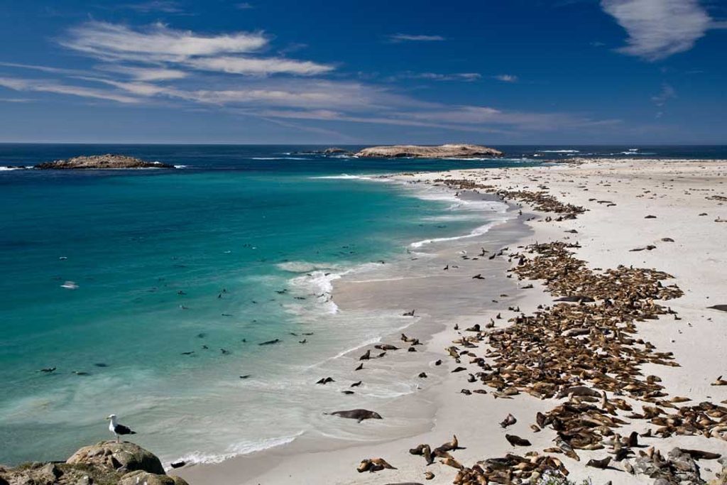 San Miguel Island, Channel Islands National Park
