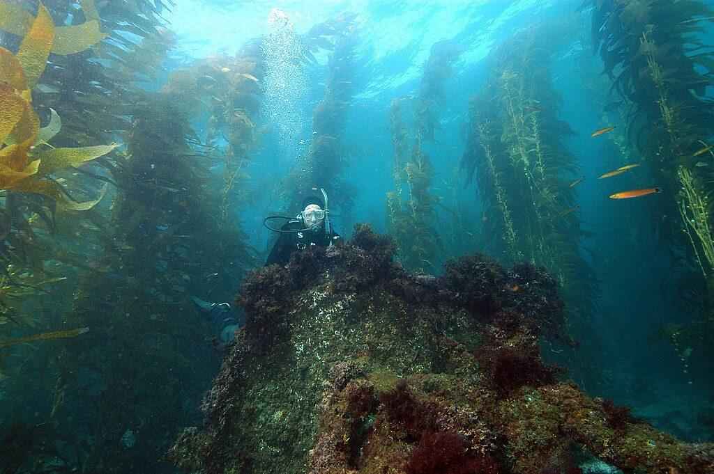 SS Winfield Scott (shipwreck), Channel Islands National Park