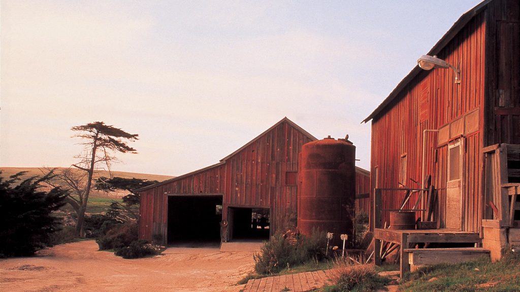 Vail and Vickers Ranch, Channel Islands National Park