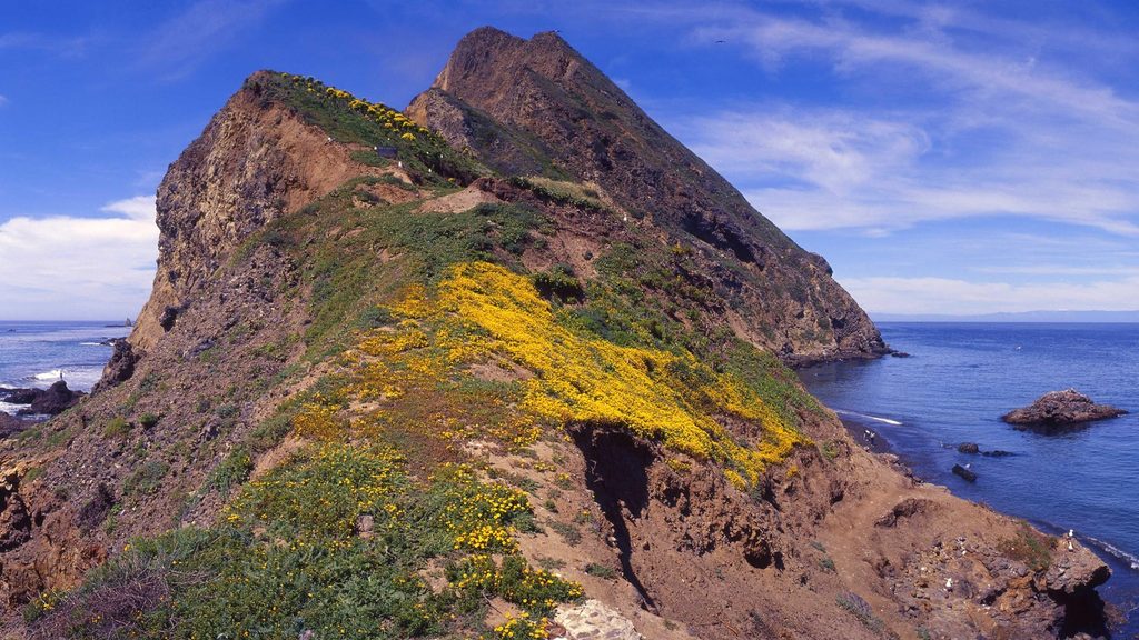 Frenchy’s Cove, Channel Islands National Park