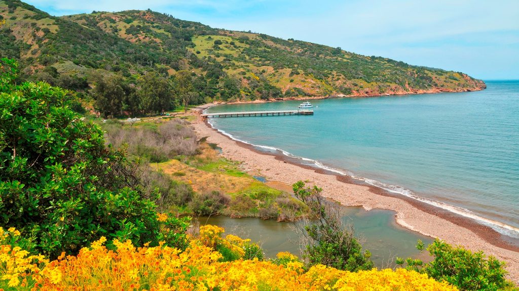 Prisoners Harbor, Channel Islands National Park