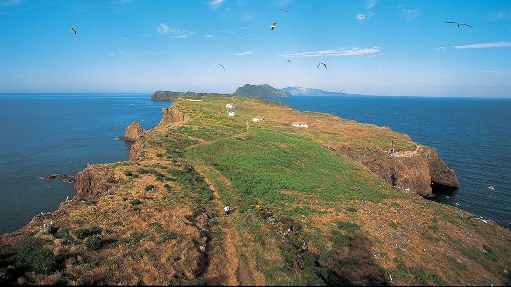 East Anacapa Island, Channel Islands National Park