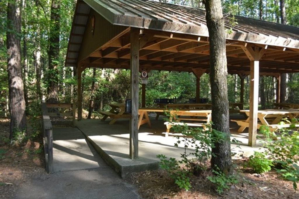 Congaree Picnic Shelter, Congaree National Park