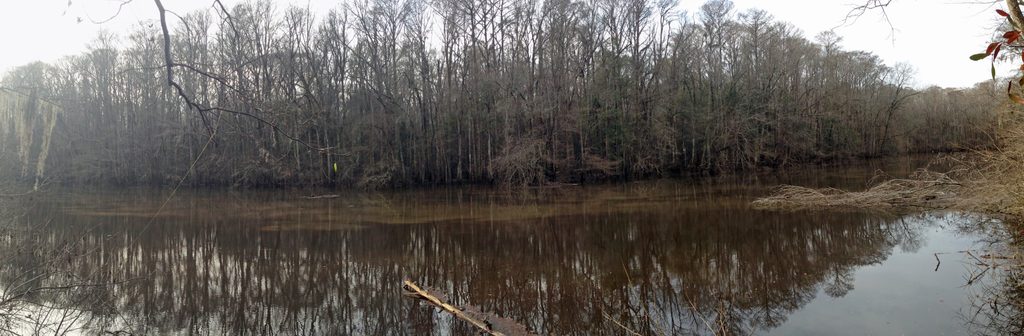 Weston Lake, Congaree National Park