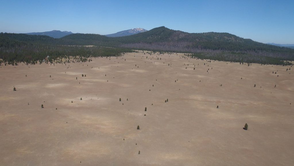 Pumice Desert, Crater Lake National Park