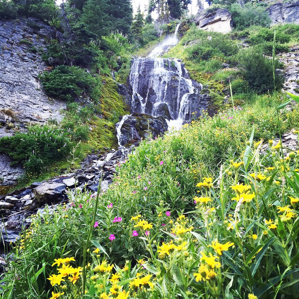 Vidae Falls, Crater Lake National Park