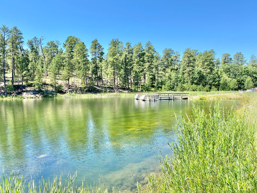 Legion Lake, Custer State Park