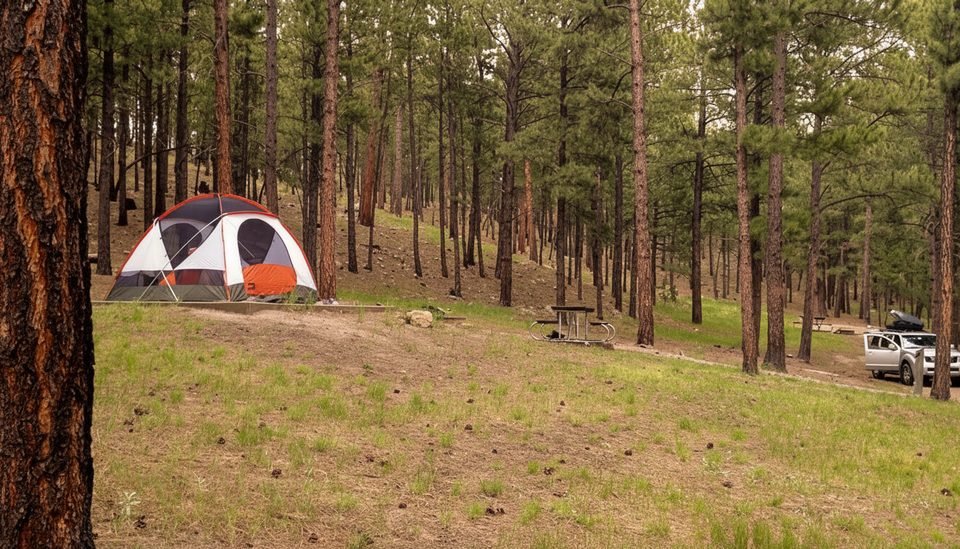 Center Lake Campground, Custer State Park