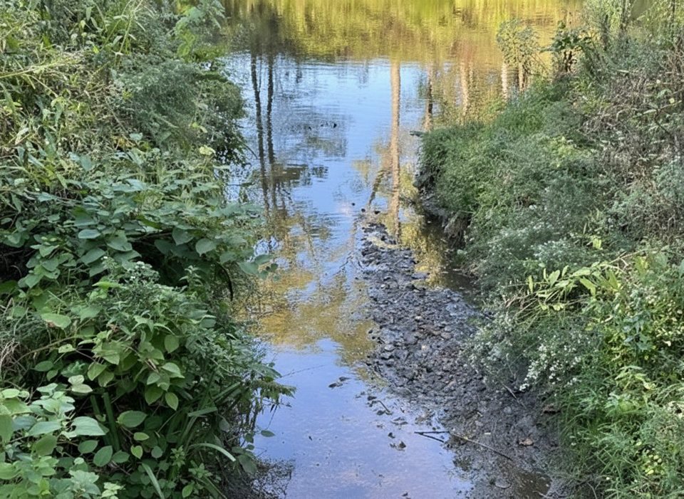 Botzum Wetlands, Cuyahoga Valley National Park