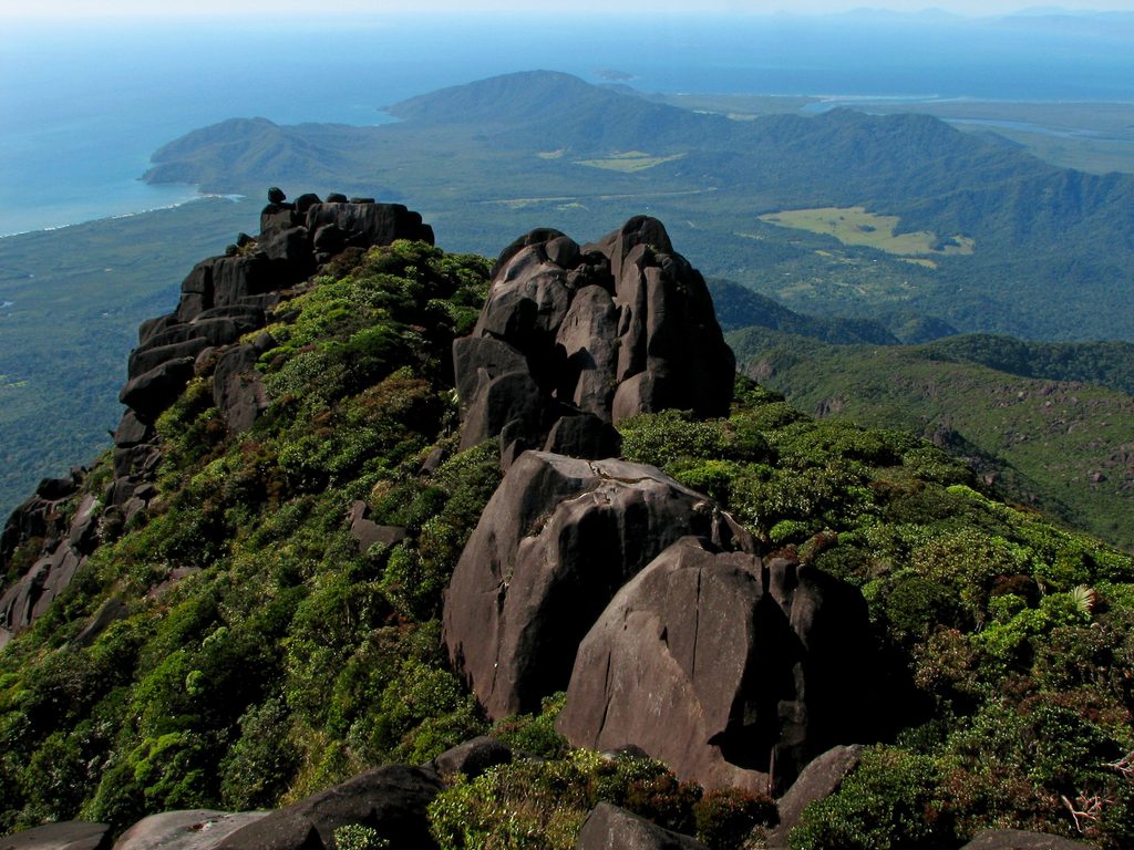 Thornton Peak, Daintree National Park