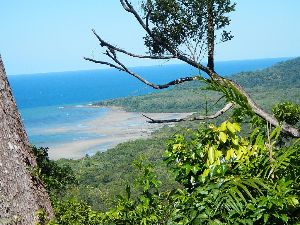 Cape Tribulation Beach, Daintree National Park