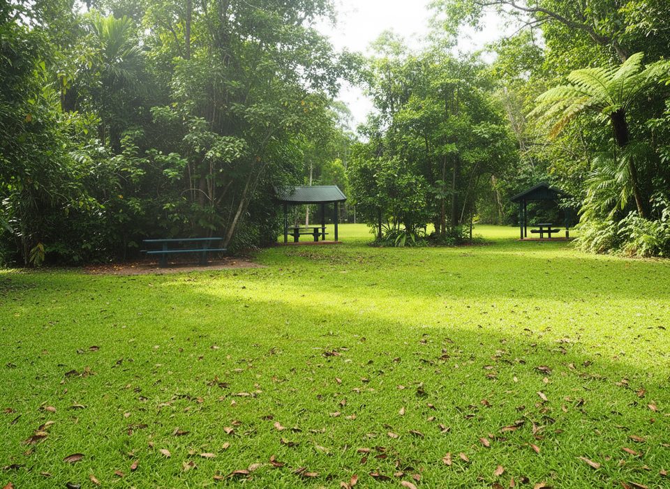 Dubuji Day Use Area, Daintree National Park