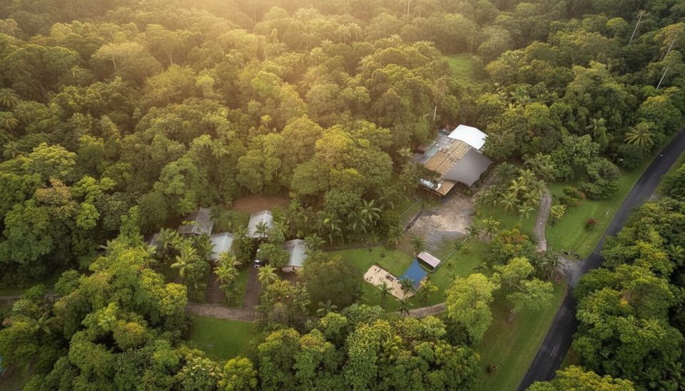 Daintree Siesta – Camping & Accommodation, Daintree National Park
